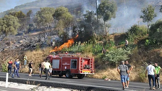 Muğla'da orman yangınları korkutuyor