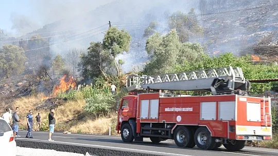 Muğla'da orman yangınları korkutuyor