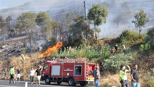Muğla'da orman yangınları korkutuyor
