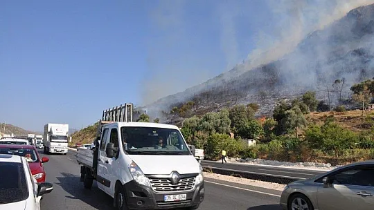 Muğla'da orman yangınları korkutuyor