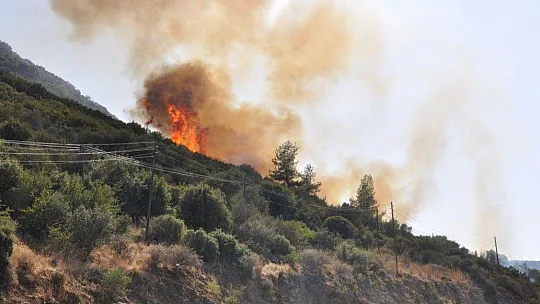Muğla'da orman yangınları korkutuyor