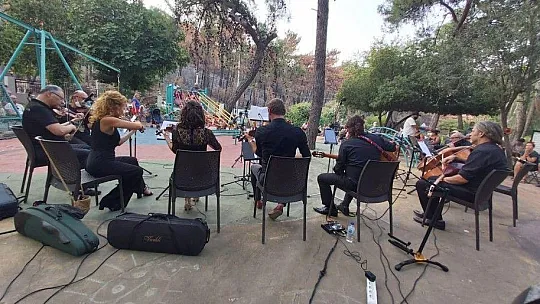 Muğla'da ormana saygı konseri