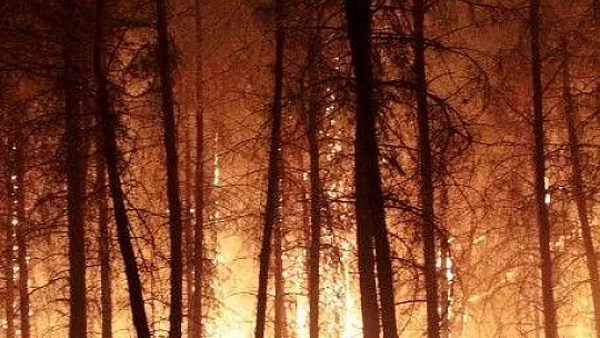 Muğla'da ormanlara giriş 1 Ekim'e kadar uzatıldı