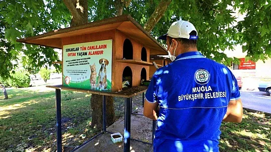Muğla'da pandemi sürecinde 2 Bin 966 hayvan  tedavi edildi