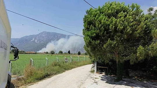 MUĞLA'DA TARIM ARAZİSİNDE YANGIN ÇIKTI