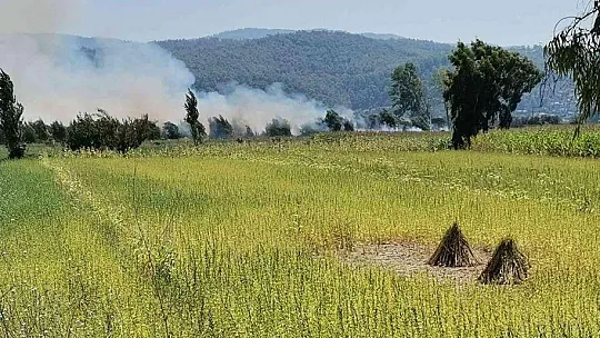MUĞLA'DA TARIM ARAZİSİNDE YANGIN ÇIKTI
