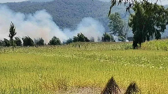 MUĞLA'DA TARIM ARAZİSİNDE YANGIN ÇIKTI