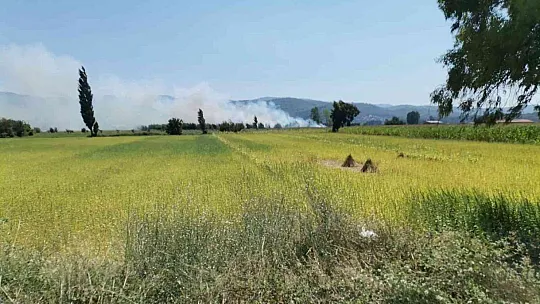 MUĞLA'DA TARIM ARAZİSİNDE YANGIN ÇIKTI