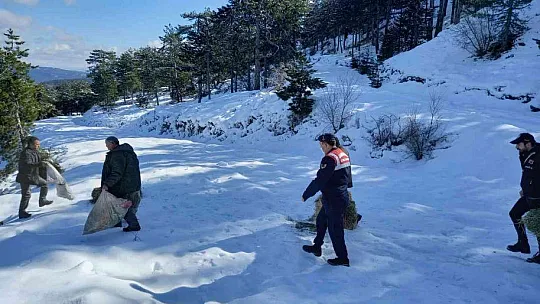 Muğla'da yaban hayvanları unutulmadı
