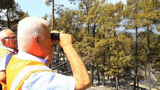 Muğla'da yanan alan 40 bin hektara yaklaştı