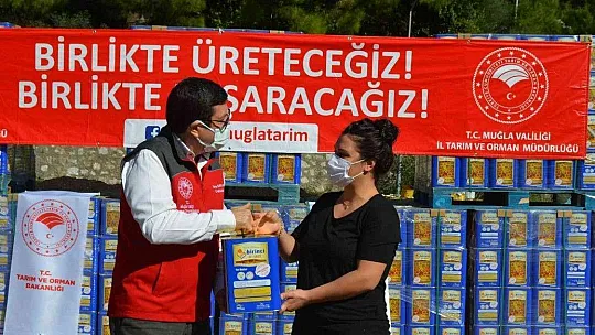 Muğla'da yangınlarda zarar gören arıcılara arı yemi desteği
