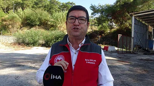 Muğla'da yangınlarda zarar gören arıcılara arı yemi desteği
