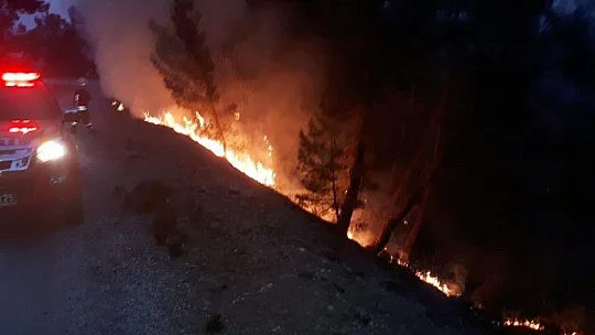 Muğla'da yılın ilk orman yangını