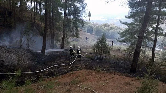 Muğla'da yılın ilk orman yangını