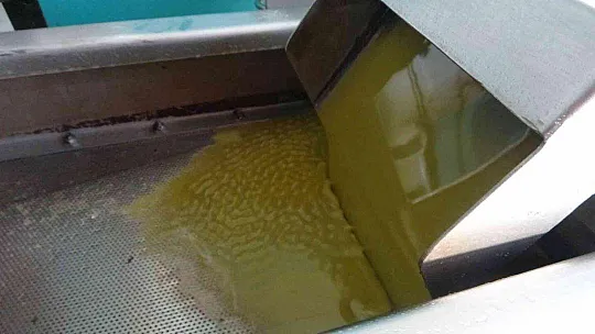 MUĞLA'DAKİ FABRİKALARINDA 7 GÜN 24 SAAT ZEYTİNYAĞI NÖBETİ