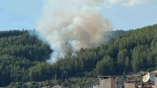 Muğla'daki orman yangını kontrol altına alındı
