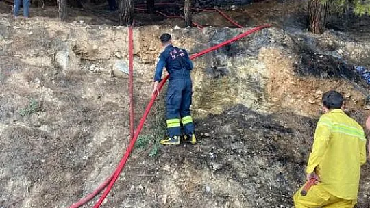 Muğla'daki orman yangını kontrol altına alındı