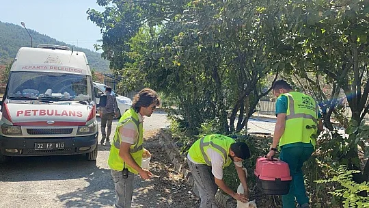 Muğla'daki yangında hayvanları tahliye edip beslediler