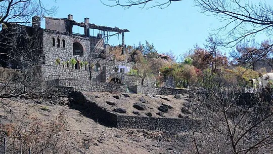 Muğla'daki yangının ardından yaralar sarılmaya devam ediyor