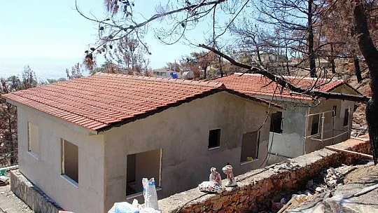 Muğla'daki yangının ardından yaralar sarılmaya devam ediyor