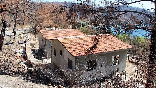 Muğla'daki yangının ardından yaralar sarılmaya devam ediyor