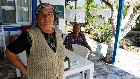 Muğla'daki yangının ardından yaralar sarılmaya devam ediyor