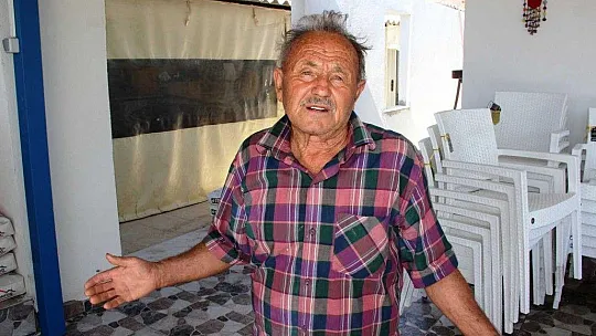 Muğla'daki yangının ardından yaralar sarılmaya devam ediyor