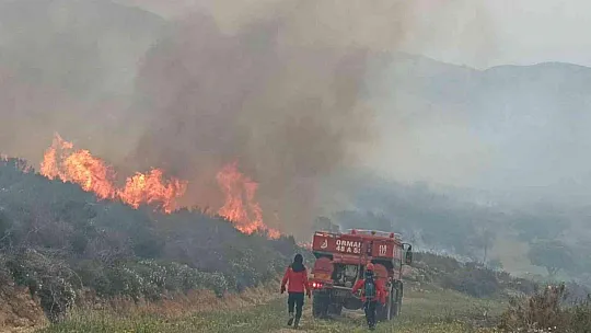 Muğla'daki yangınla ilgili gözaltına alınan 3 şüpheli adliyeye sevk edildi