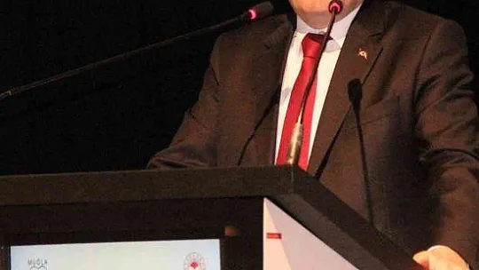 Muğla'daki zeytin verimsizliği masaya yatırıldı