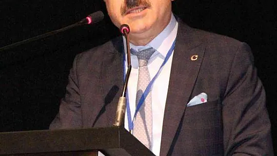 Muğla'daki zeytin verimsizliği masaya yatırıldı