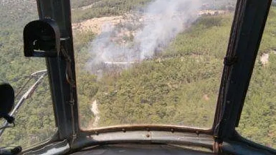 Muğla Milas'ta orman yangını