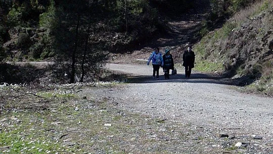 Muğla'nın akciğerlerine ziyaretçi akını
