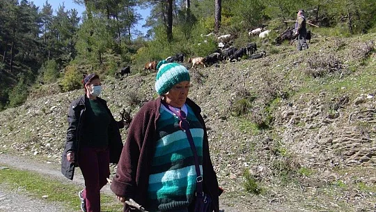 Muğla'nın akciğerlerine ziyaretçi akını