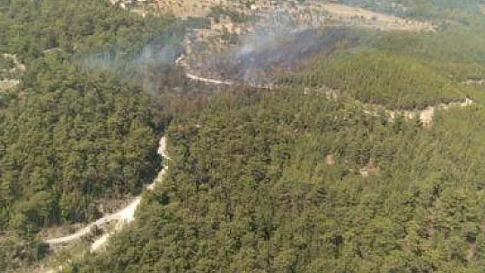 Muğla'nın ciğerleri yanıyor