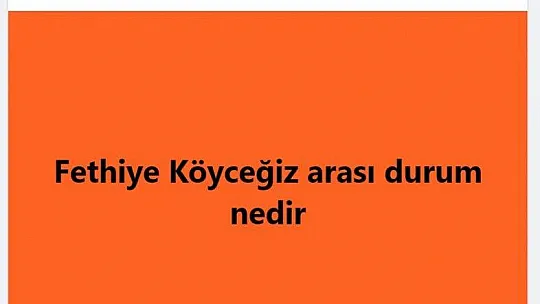 Muğla'nın dört bir tarafında trafik kilitlendi