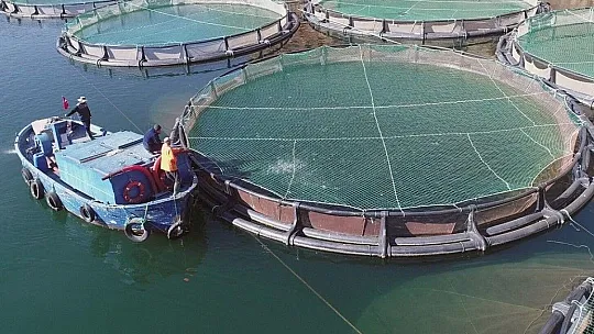 Muğla'nın ihracatı yüzde 34, ithalatı yüzde 15 arttı
