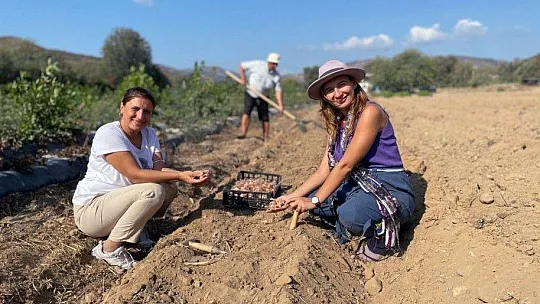 Muğla'nın kadınları Safran ile tanıştı