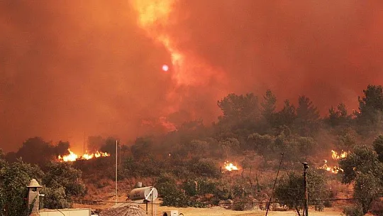 Muğla orman yangınlarında son durum