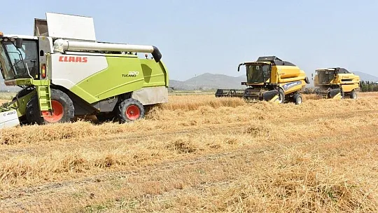Muğla'nın tarımsal değeri 10 milyar tl
