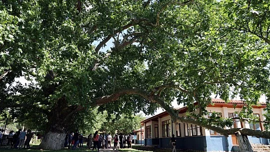 Muğla turizminde alternatif arayışları