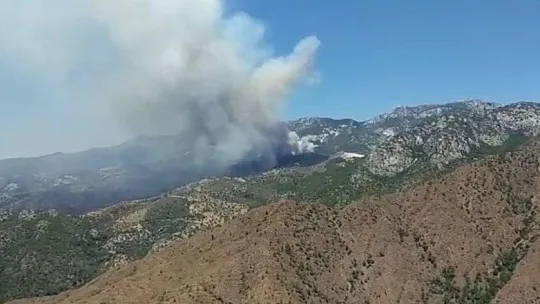 Muğla Valiliğinden Datça'daki orman yangını ile ilgili açıklama