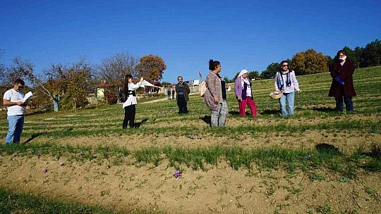 Muğlalı Safran üreticilerine Safranbolu gezisi