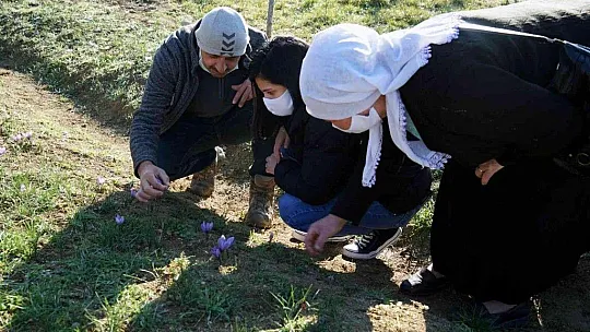 Muğlalı Safran üreticilerine Safranbolu gezisi