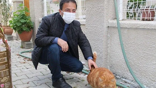 Muhtar sokak hayvanlarını kendi imkanları ile besliyor