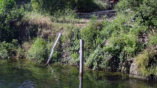 Muhtarın çevre hassasiyeti