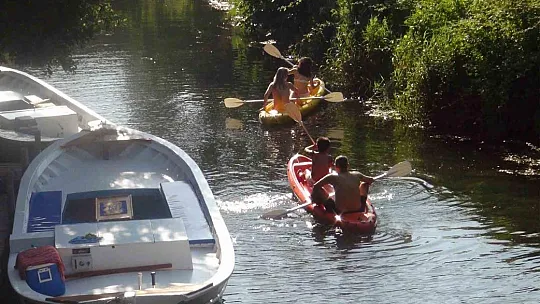 Muhtarın çevre hassasiyeti