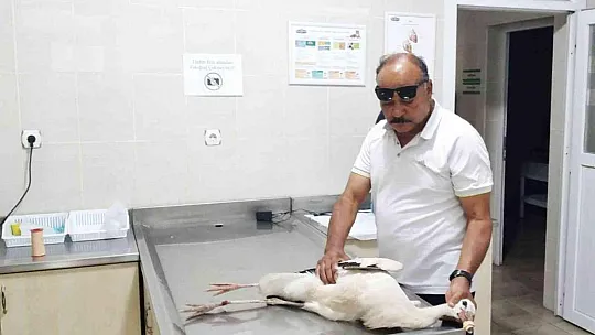 MUHTARIN GÖZÜ LEYLEKLERDE