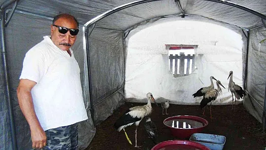 MUHTARIN GÖZÜ LEYLEKLERDE