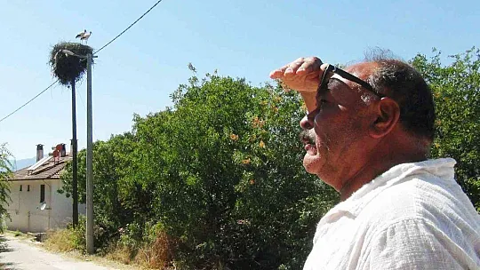 MUHTARIN GÖZÜ LEYLEKLERDE