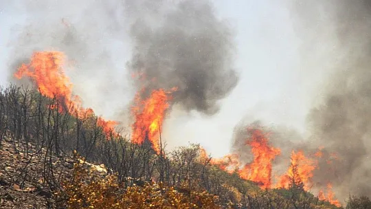 Mumcular-Mazı yolu tekrar yanıyor